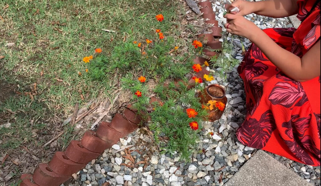 woman picking orange flowers for Autumn